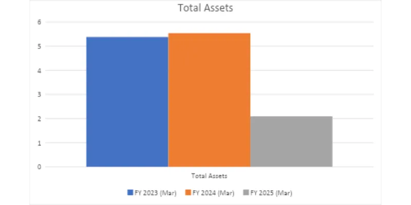 Total Assets